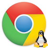 Скачать бесплатно Google Chrome 31.0.1650.48